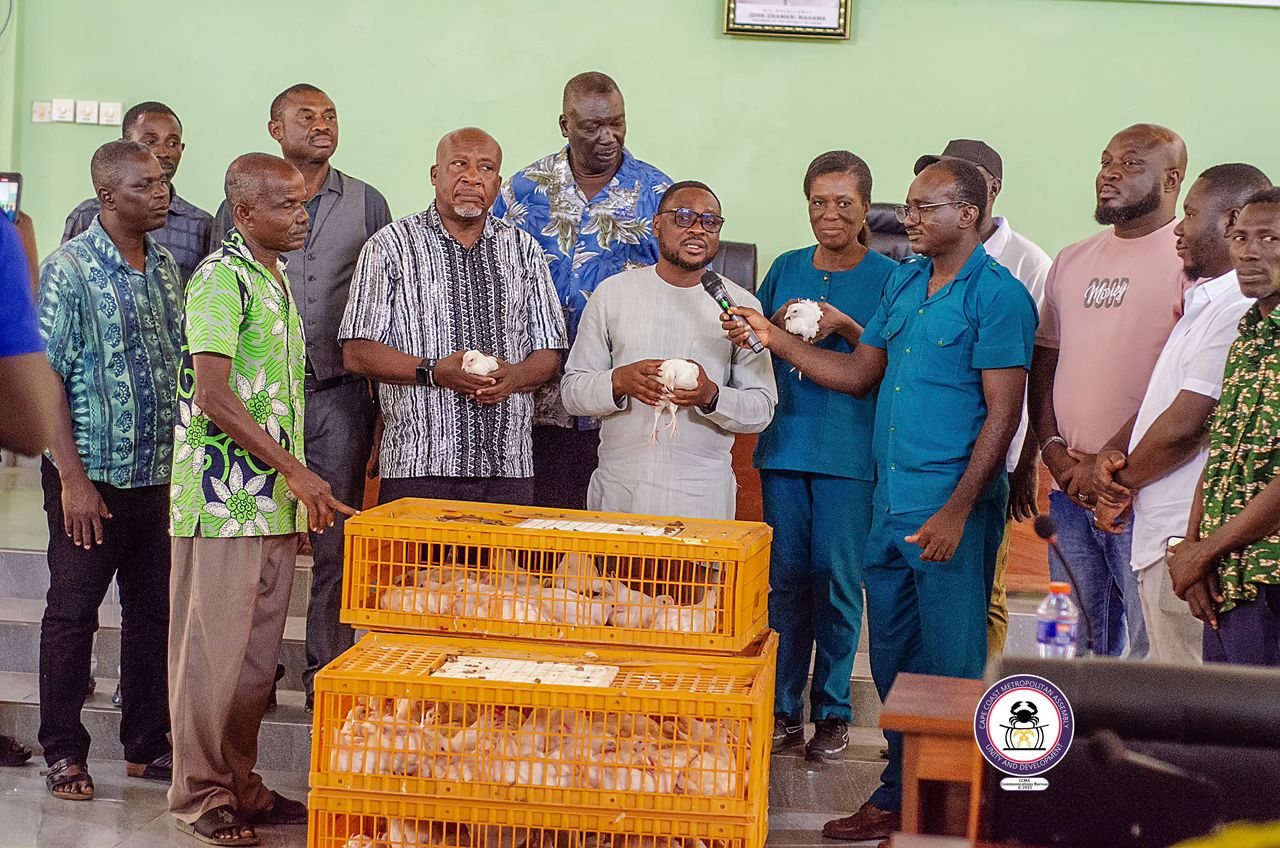 Nkoko Nketsenketse Initiative Takes Off in Cape Coast South with Distribution of 8,000 Chicks